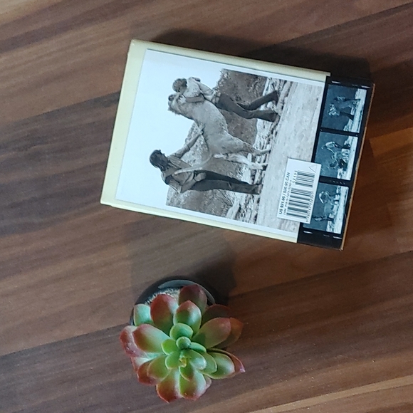 🦁 A Lion Called Christian 🦁 - Picture 4 of 4